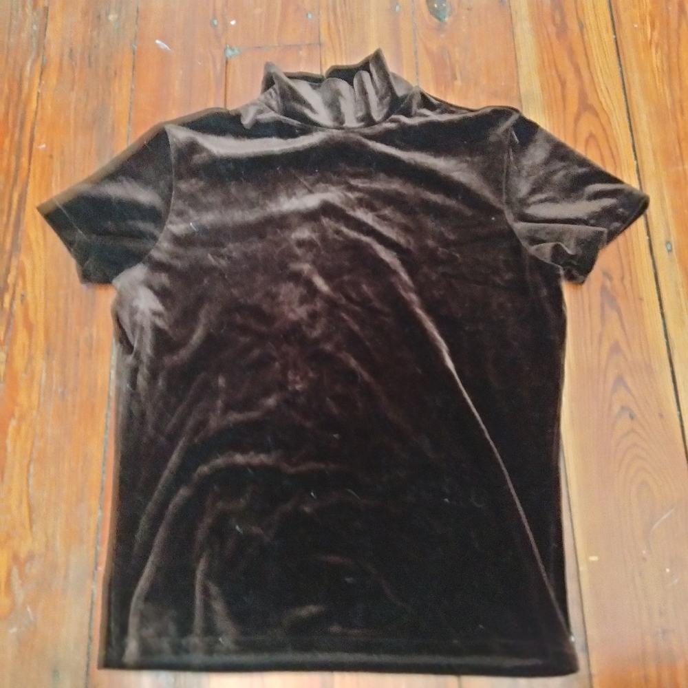 Velvet Short Sleeve Turtleneck Top